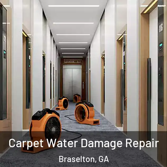  Carpet Water Damage Repair Braselton, GA