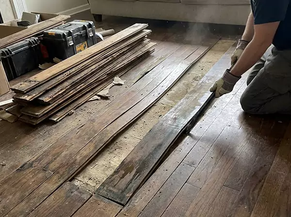 Water Damage Drying in Braselton