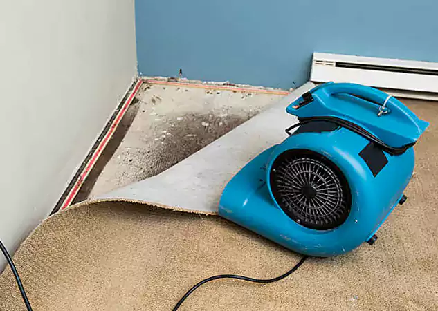 Your Water Damage Experts in Braselton, GA