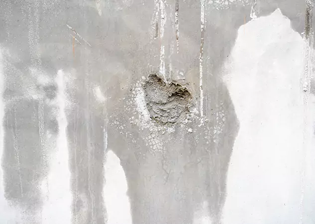 Your Mold Mitigation Solutions Partner in Braselton, GA