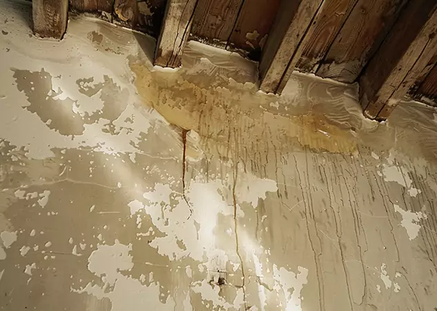 Your Trusted Restoration Company in Braselton, GA