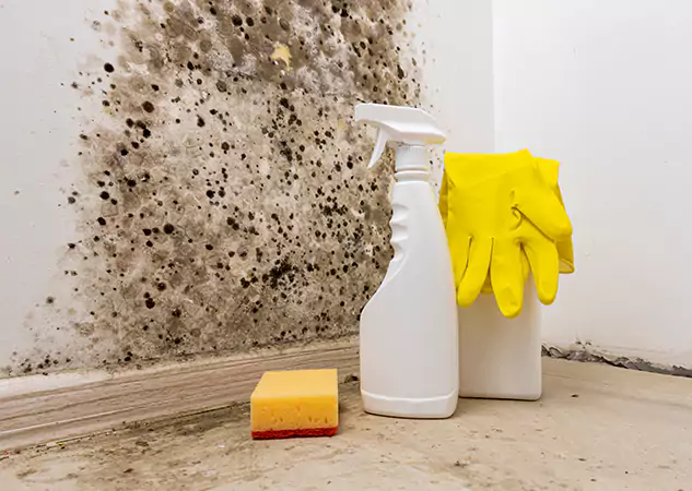 Your Reliable Restoration Company in Braselton, GA