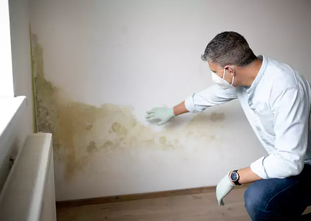 Reach Our Remediation Team Before Damage Grows in Braselton, GA!