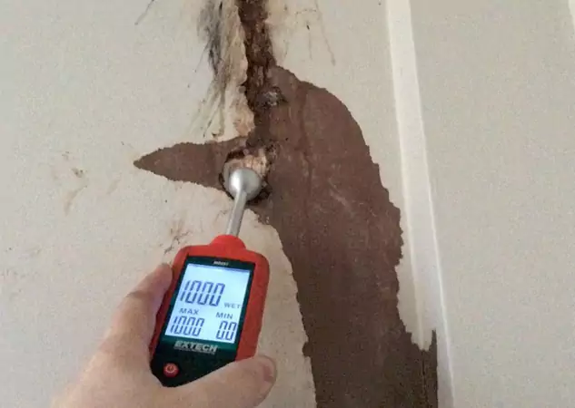 Your Water Damage Assessment Partner in Braselton, GA