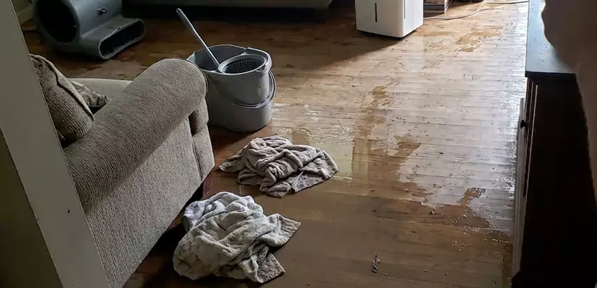 Professional Basement Water Remediation Services in Braselton, GA