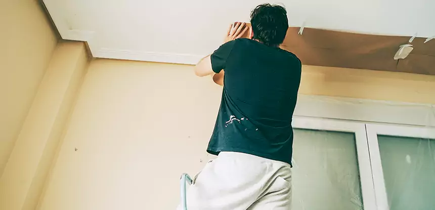 Ceiling Water Damage Repair in Braselton