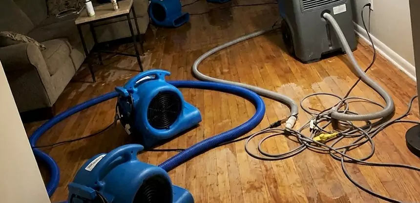 Basement Flood Restoration Services in Braselton