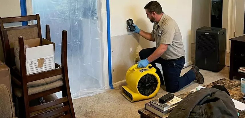 Carpet Water Damage Repair Braselton
