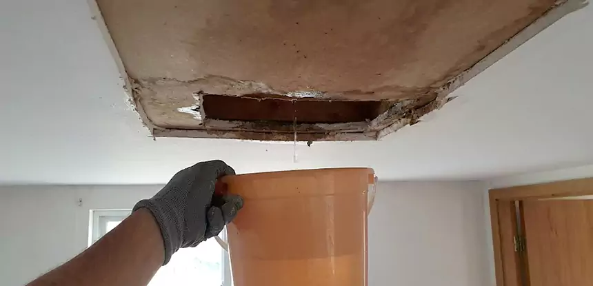 Ceiling Mold Repair Braselton 