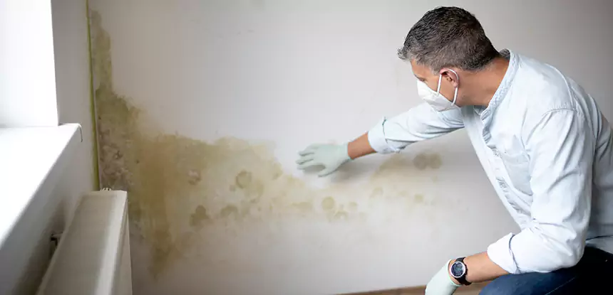 Mold and Water Damage Repair in Braselton