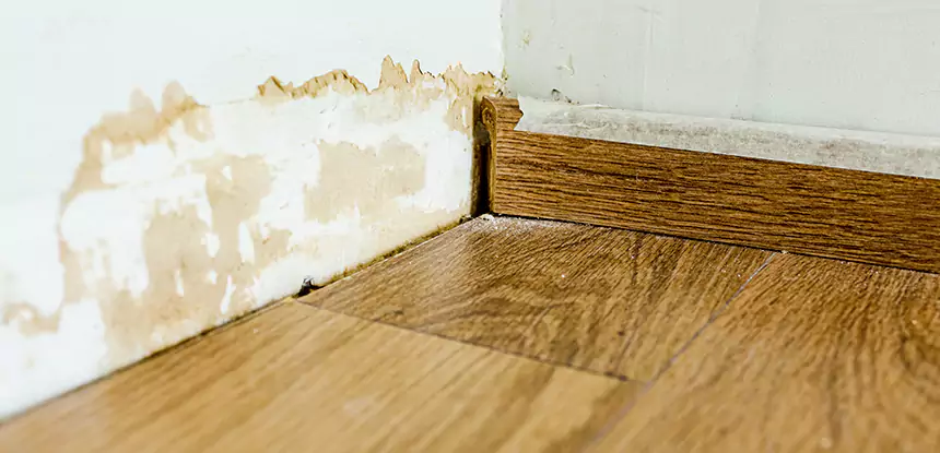 Professional Fix Water Damaged Wood Services in Braselton, GA