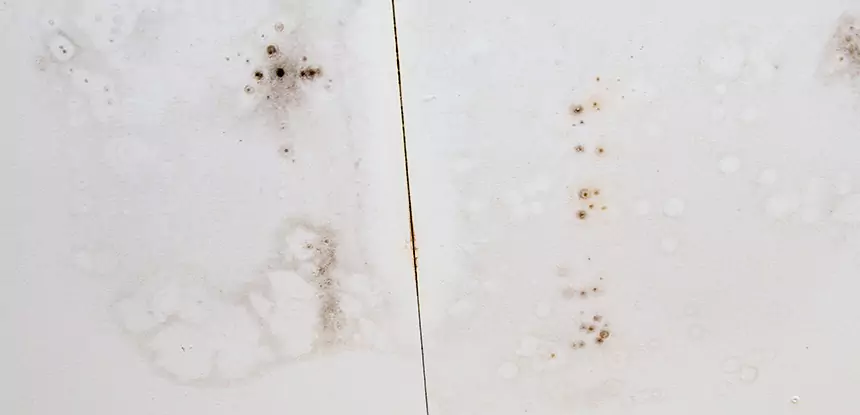 Professional Water Stain Repair Services in Braselton, GA