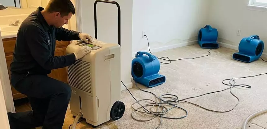 Professional Wet Carpet Removal Services in Braselton, GA