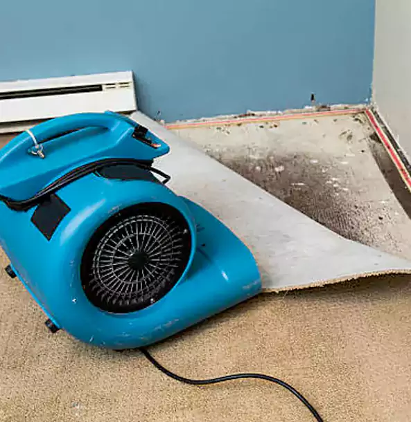 Why Braselton Trusts Braselton Restoration Pro for Carpet Flood Recovery?