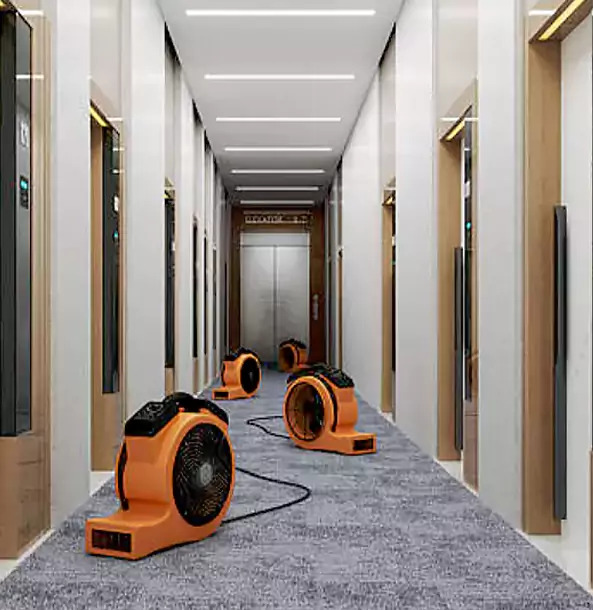 Why Braselton Trusts Braselton Restoration Pro?