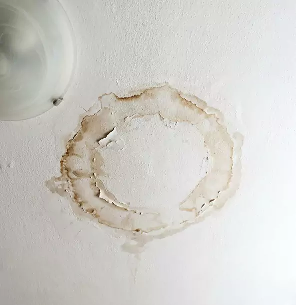 Why Braselton Property Owners Choose Braselton Restoration Pro for Ceiling Water Damage Restoration?
