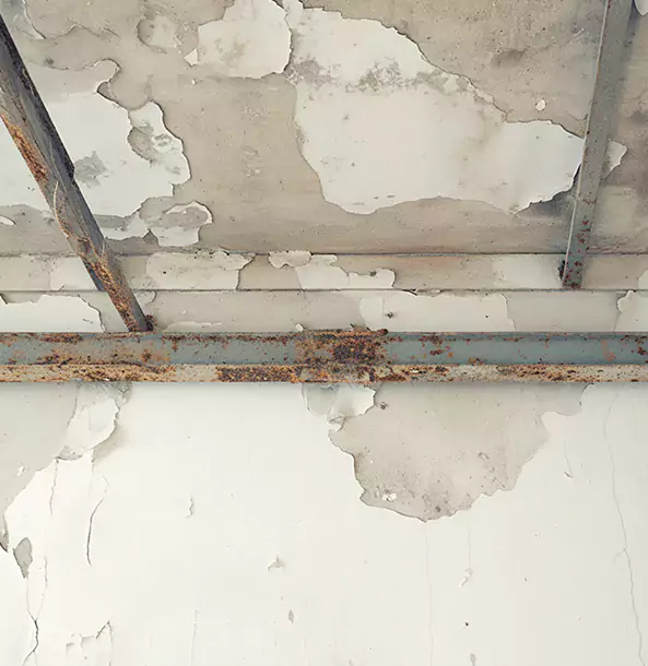Why Braselton Restoration Pro Is the Right Choice in Braselton, GA?