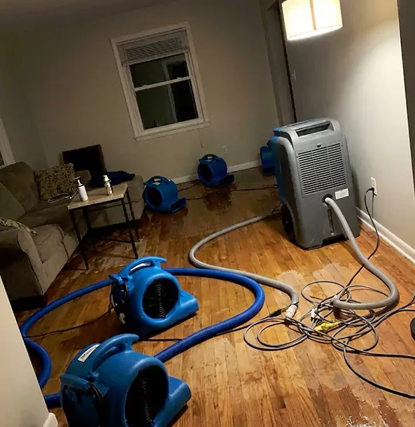 Why Braselton Property Owners Rely on Braselton Restoration Pro for Remediation?