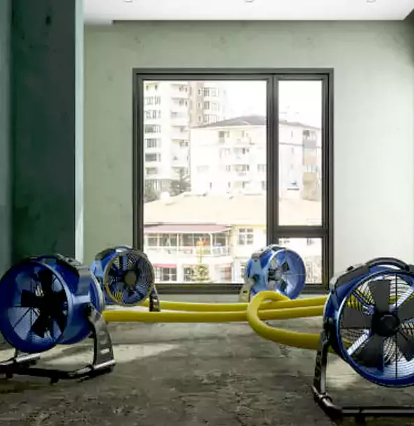 Why Braselton Property Owners Trust Braselton Restoration Pro for Water Damage Drying?
