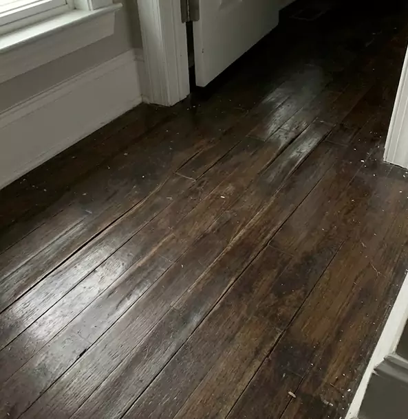 Why Braselton Homeowners Trust Braselton Restoration Pro to Fix Water Damaged Wood?