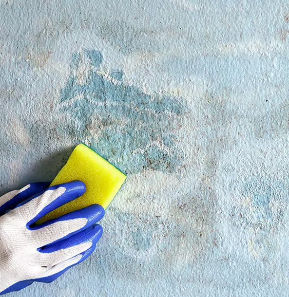 Why Braselton Restoration Pro Is the Right Choice in Braselton, GA?