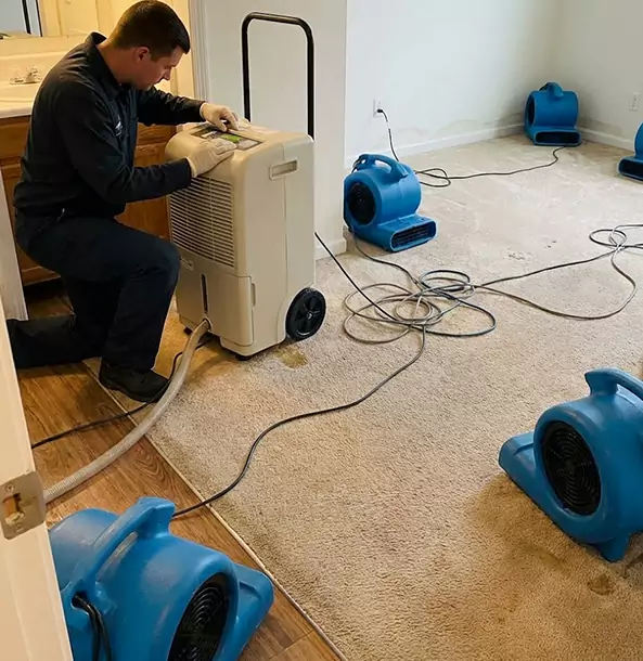 Why Braselton Homeowners and Businesses Trust Braselton Restoration Pro for Carpet Drying?