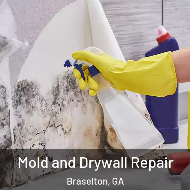  Mold and Drywall Repair Braselton, GA