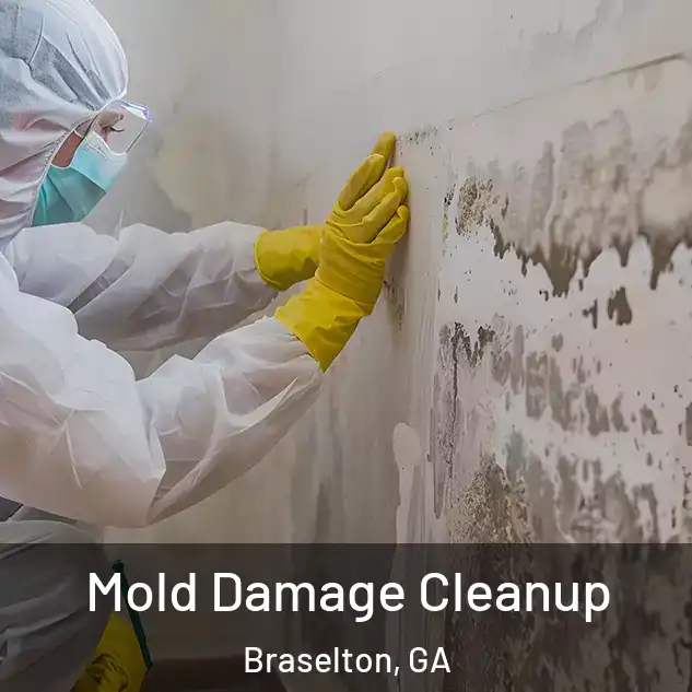  Mold Damage Cleanup Braselton, GA