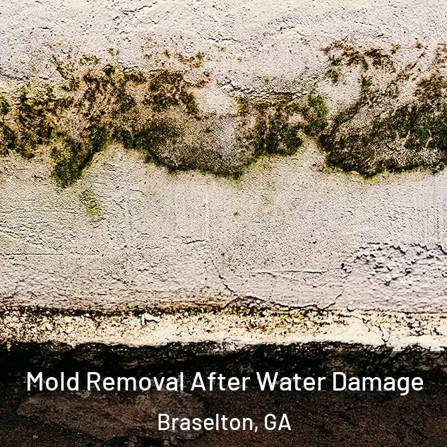  Mold Removal After Water Damage Braselton, GA