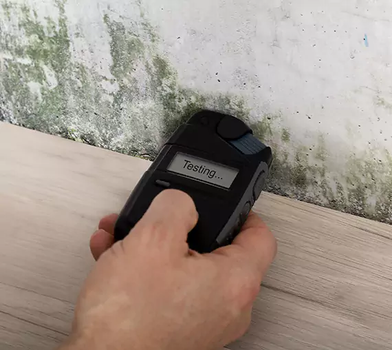 Mold Remediation Service Braselton