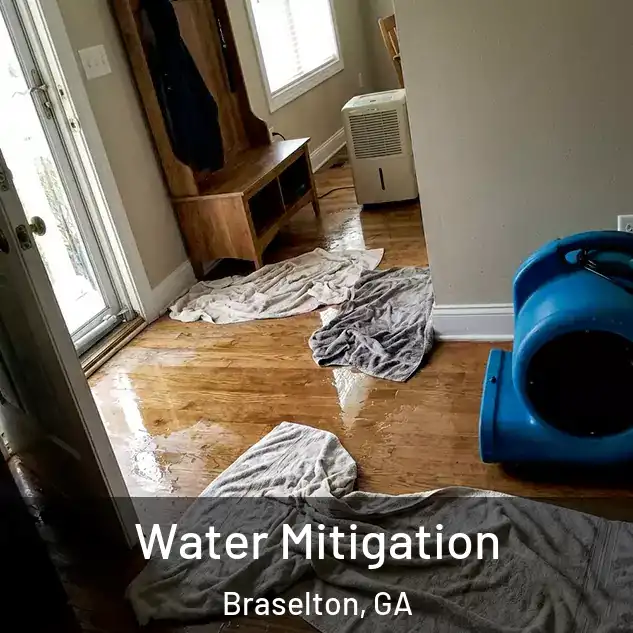  Water Mitigation Braselton, GA